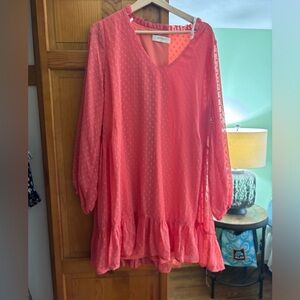 Long sleeve mini dress